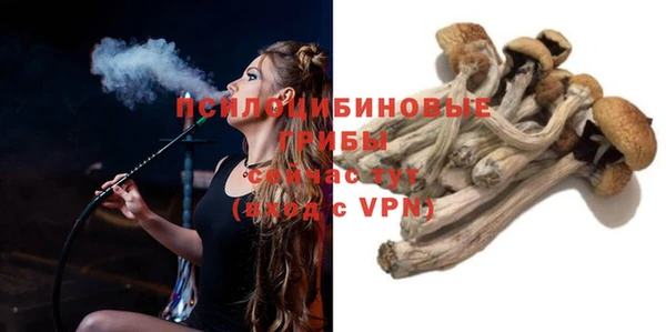 не бодяженный Медвежьегорск