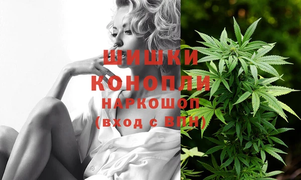 apvp Михайлов