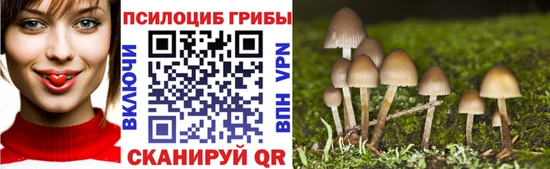 Галлюциногенные грибы GOLDEN TEACHER  хочу наркоту  mega   Рыбинск 