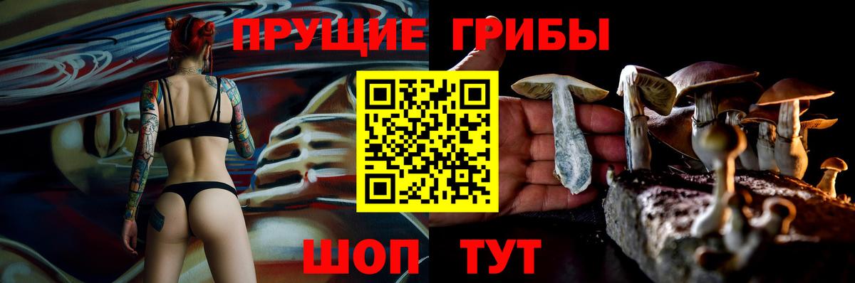 Рыбинск  Галлюциногенные грибы Cubensis  как найти наркотики  Вход с VPN 